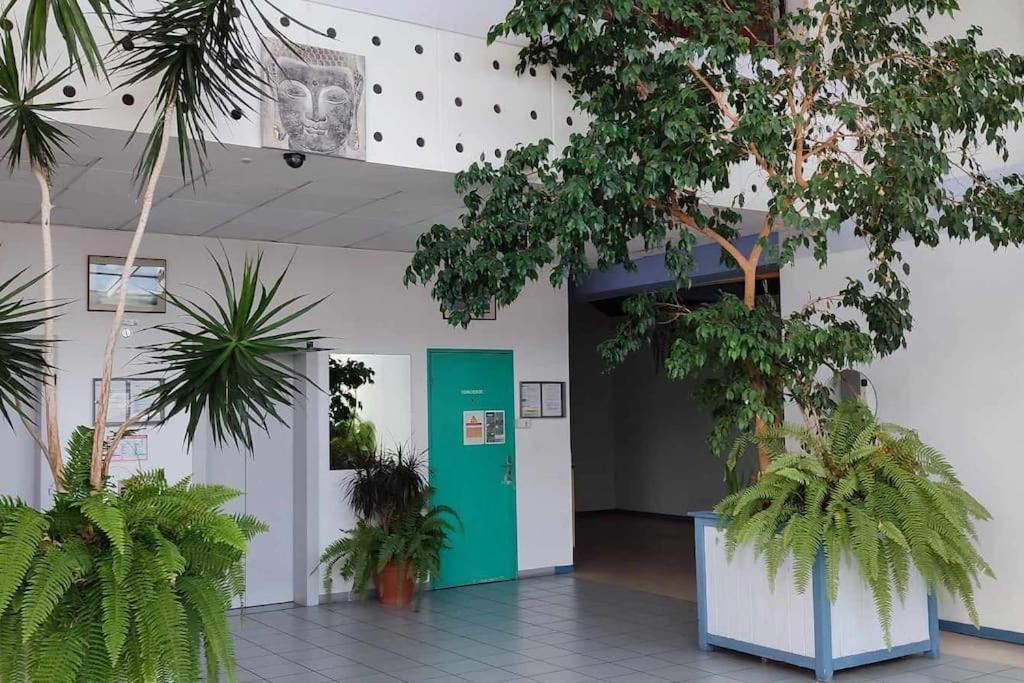 Studio Calais Front De Mer-Le Cocon Du Dragon-Classe 3 Etoiles מראה חיצוני תמונה